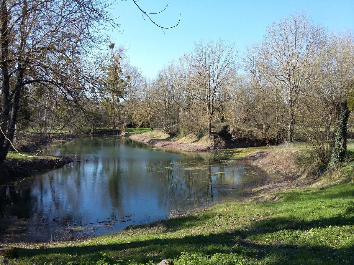 Domaine Du Seudre Villa Saint-Germain-du-Seudre Buitenkant foto